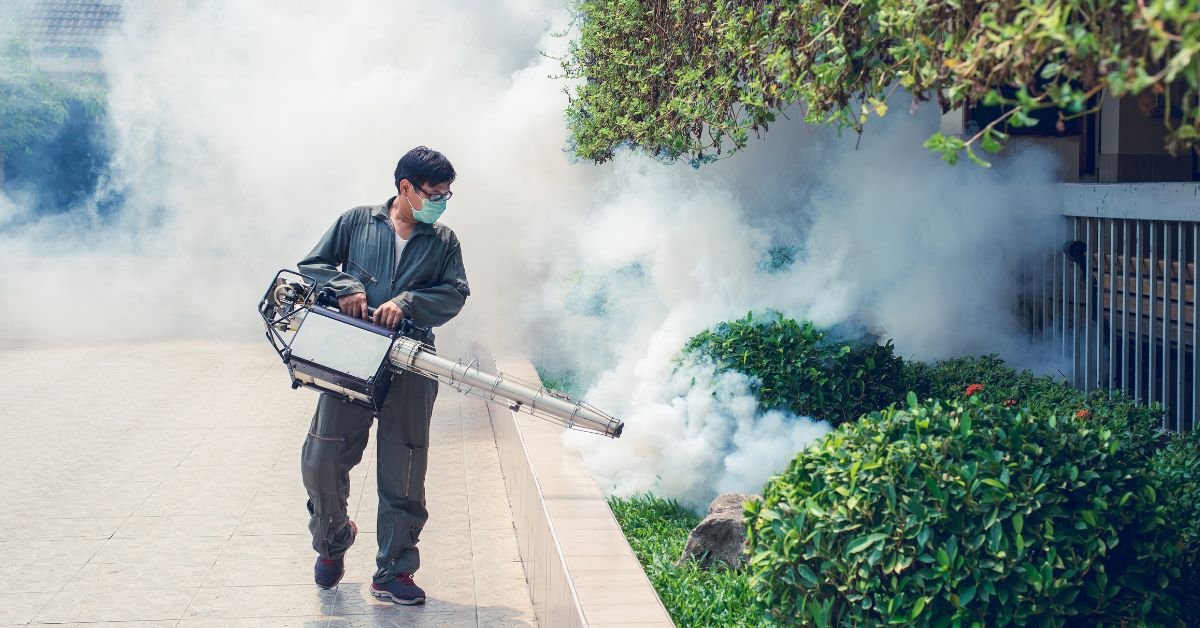 Best Yard Mosquito Control